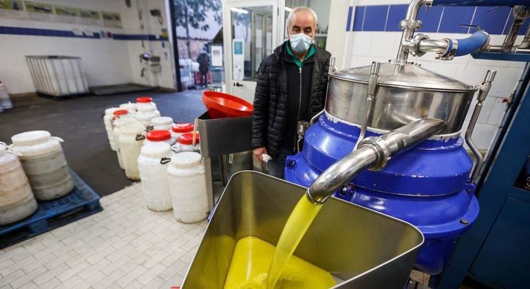 Les prix des produits alimentaires ont atteint un niveau record en février (FAO)
